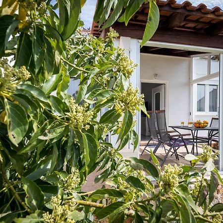 Avocado Apartment Дубровник Экстерьер фото